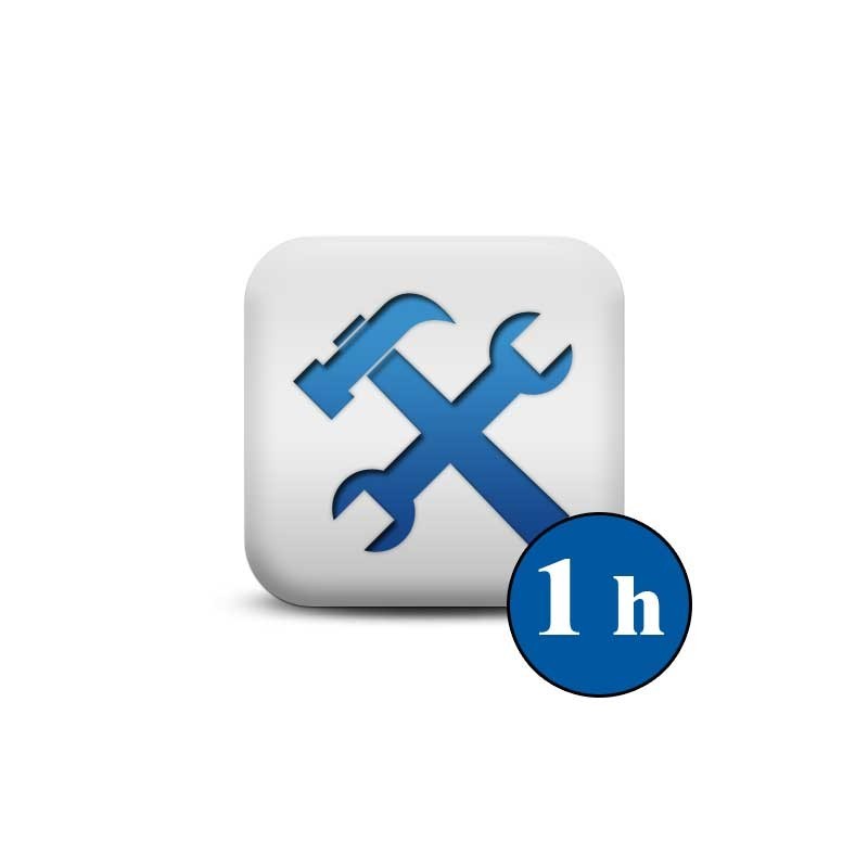 Technical service 3D Printers (1 hour)